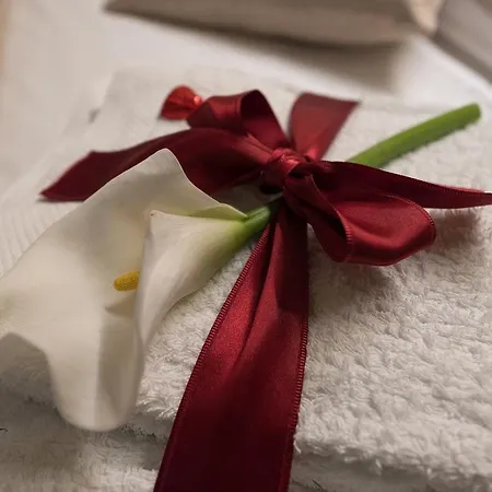 Residenza D'epoca Visacci Florenz