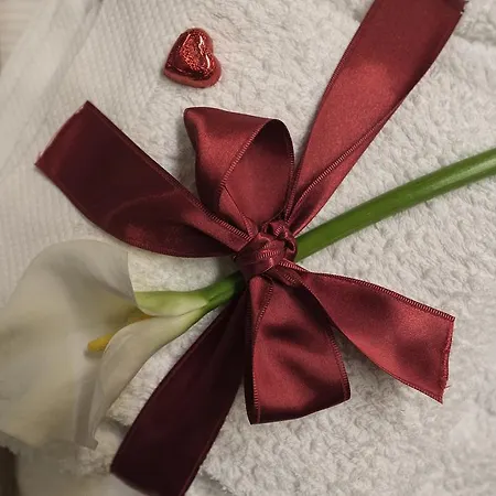 Residenza D'epoca Visacci 5* Florens